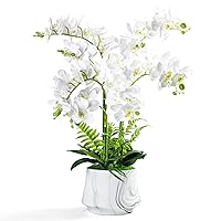 Artificial Orchid Plants and Flowers with Vase, Fake Faux Silk Orchid in Ceramic Pot, 24'', White