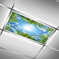 Blue Sky and White Clouds,Light Diffusers,Fluorescent Light Covers for Ceiling Light Diffuser Panels Ceiling Light Cover Skylight Film,4'x2'