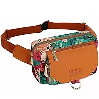 BAOSHA YB-02 Travel Waist Wallet Bag Sports Fanny Pack Passport Holder for Women (BS)