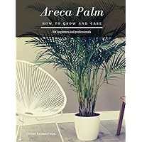 Areca Palm: How to grow and care