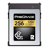 256GB CFexpress Type B Memory Card (Gold)