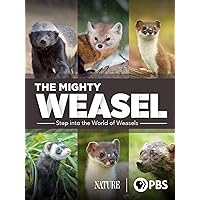 The Mighty Weasel