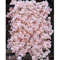 PARTY JOY 8pcs 47.2ft Artificial Cherry Blossom Flower Garland Hanging Vines for Spring Home Room Wedding Party Kawaii Decor (Pink-8PCS)