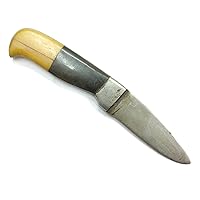 Rajasthan Gems Small Dagger Knife Letter Opener Handmade Steel Blade Resin and Bull Horn Handle