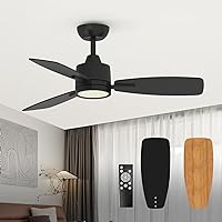 TALOYA 42 Inch Black Ceiling Fan with Led Light Remote Control Flush Mount Low Profile for Bedroom Farmhouse Patio Outdoor Living Room Kitchen Dining Room,DC Motor,Reversible,3 Color Temperatures,