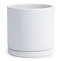 D'vine Dev 10 Inch Ceramic Planter Pot with Drainage Hole and Saucer, Indoor Cylinder Round Planter Pot, White, 94-O-L-1