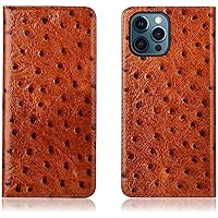Ostrich Texture Folio Case, Leather Magnetic Flip Stand Cover with 2 Card Slots for Apple iPhone 14 Pro Case (2022) 6.1 Inch (Color : CAF�)