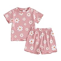 Newborn Baby Girls Summer Shorts Clothes Sets Toddler Infant Floral Short Sleeve T-shirts+Daisy Outfit