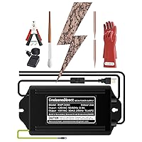 Lichtenberg Machine Kit 10kVAC Neon Sign Transformer Rods Clamps Brush Gloves Foot Switch Fractal Wood Burning Machine Set Not Led Neon Power Supply Device Burner High Voltage 10000V