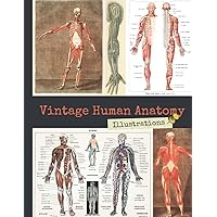 Vintage Human Anatomy Illustrations: Antique Medical Book Drawings of Organs, Bones & Muscles, One-Sided Decorative Paper for Junk Journaling, ... Making & Mixed Media (110+ Vintage Images)