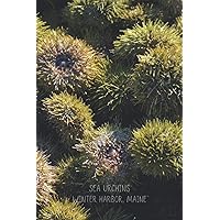 Sea Urchins (Winter Harbor, Maine): A Lined Notebook