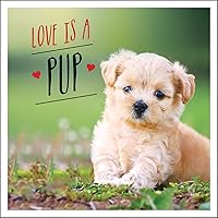Love is a Pup: A Dog-Tastic Celebration of the World's Cutest Puppies Love is a Pup: A Dog-Tastic Celebration of the World's Cutest Puppies Hardcover Kindle
