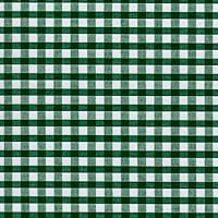 Carly Hunter Green Mini Checkered Gingham Poly Cotton Fabric by The Yard - 10114