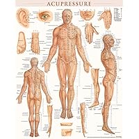 Acupressure Poster (22 x 28 inches) - Laminated: Anatomy of Points for Acupressure & Acupunture