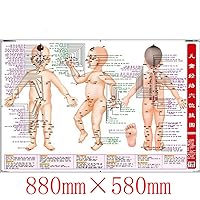 WellieSTR 88×58cm/35x23inch Children's Massage, Acupuncture Points, with Book acupoint Wall Charts, Standards, Children's Meridian Points wallcharts