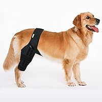 Dog Knee Brace for Dog ACL Brace Hind Leg or Rear Leg, CCL Brace Hind Leg (Size: M)