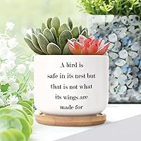 Set of 1 Small Planters Ceramic a Bird is Safe in Its Nest But That is Not What Its Wings are Made for Succulent Planters Motivational Quote Ceramic Pots for Plants with Drainage Holes