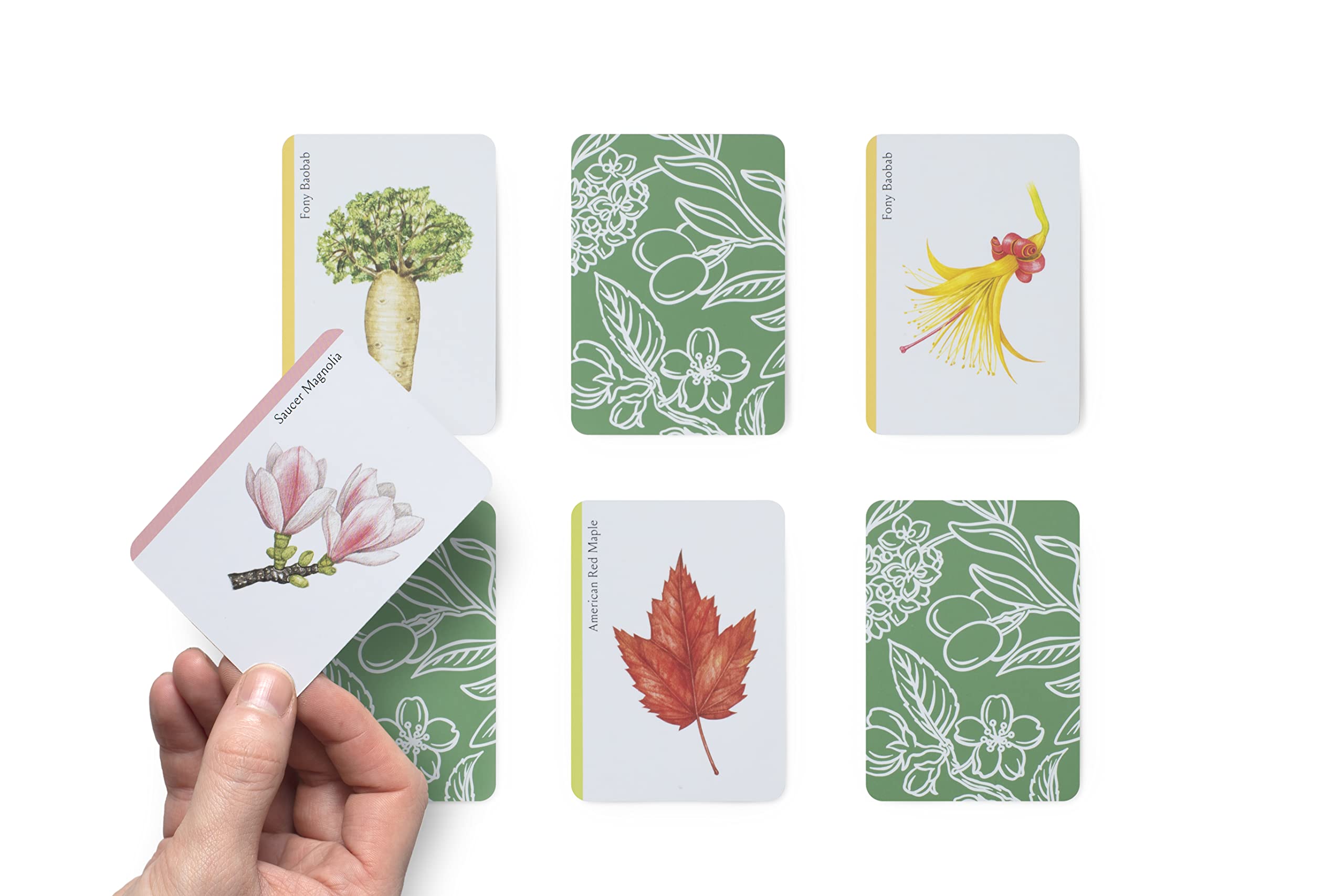 Laurence King Tree Families: A Botanical Card Game (Happy Families Card Game)