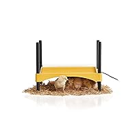 Brinsea Products Ecoglow 20 Safety 600 Brooder for Chicks Or Ducklings, Yellow/Black