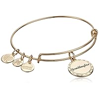 Alex and Ani Because I Love You Granddaughter Expandable Wire Bangle Bracelet for Women, by Your Side Charm, Shiny Antique Gold Finish, 2 to 3.5 in
