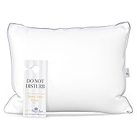 Luxury 100% Down Pillow - European White Goose and Duck Down Blend - Cruelty Free Hotel Pillows - Made in USA (Queen Medium)