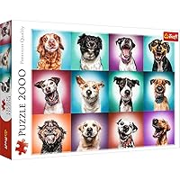 Trefl Funny Dog Portraits II 2000 Piece Jigsaw Puzzle Red 38