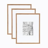 Kate and Laurel Adlynn Rectangle Picture Frame Set of 3, 16 x 20 matted to 8 x 10, Brown, Transitional Three-Piece Frame Set for Gallery Wall Frame Set in Living Room Wall Decor
