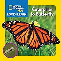 National Geographic Kids Look and Learn: Caterpillar to Butterfly (Look & Learn) National Geographic Kids Look and Learn: Caterpillar to Butterfly (Look & Learn) Board book