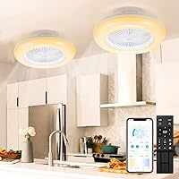 Herrselsam Pack of 2 80 W Ceiling Fan with Lighting LED Ceiling Fan with Summer Winter Mode 6 Speeds and Timer 3 Colour Temperature 3000-6500 K with Remote Control and App Diameter 55 cm