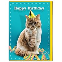 Rude Cat Themed Birthday Card - 'Happy Birthday Cat Finger'- Cheeky Cat Birthday Cards - Funny Birthday Humour Cards For Him Her - Cat Lovers