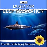 Deep Relaxation Music, for Meditation, a Better Sleep or Just for Dreaming Deep Relaxation Music, for Meditation, a Better Sleep or Just for Dreaming MP3 Music