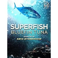 Superfish: Bluefin Tuna - Narrated by David Attenborough