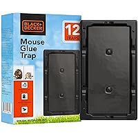BLACK+DECKER Glue Traps for Mouse & Insect- Heavy- Duty Sticky Traps for Mice, Small Rats, Flies, Cockroaches & Other Bugs- Eco Friendly, Odorless Pest Remover- 12 Pack