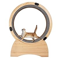 Cat Exercise Wheel, Cat Wheel Exerciser for Indoor Cats with Locking Mechanism, Cat Wheel Noiseless, Cat Treadmill with Carpeted Runway, Cat Exercise Wheel for Lose Weight, Daily Exercise