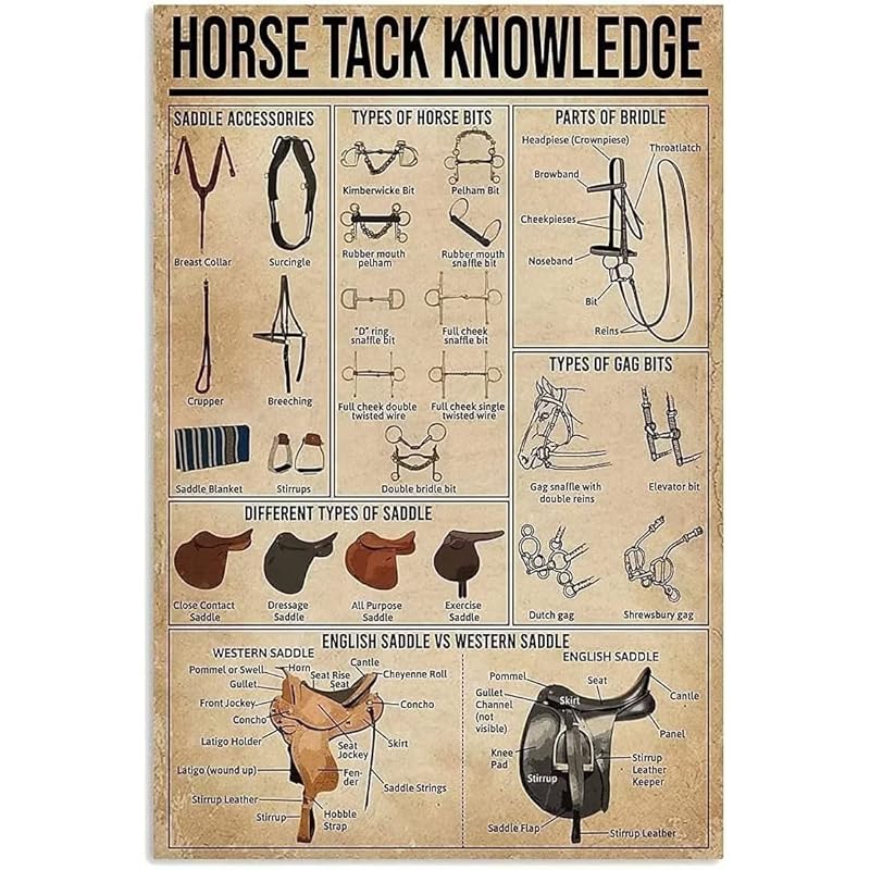 Mua Horse Tack Knowledge Metal Tin Signs Different Types Of Saddle ...