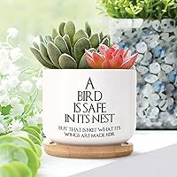 1 Piece Bible Verse Christian Small Ceramic Planters a Bird is Safe in Its Nest But That is Not What Its Wings are Made for Potted Succulents Plants with Drainage Ceramic Planter