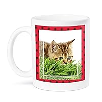 3dRose Cat Hunting Ladybug Mug, 11-Ounce