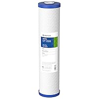 Pentair Pentek EP-20BB Big Blue Carbon Water Filter, 20-Inch, Whole House Carbon Block Replacement Cartridge with Bonded Powdered Activated Carbon (PAC) Filter, 20