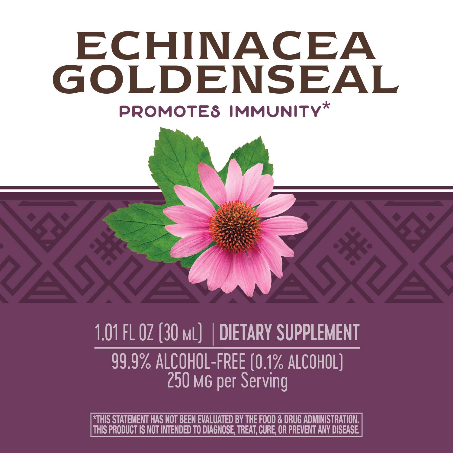 Nature's Way Premium Formula Echinacea-Goldenseal,Liquid, 250 mg per serving, 99.9% Alcohol-Free, 1.01 Oz.