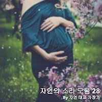 Nature's Sound Collection During Prenatal Education 28 - Rain Sound ASMR to Relieve Insomnia in Pregnant Women 1 Hour (White Noise, Lullaby) Nature's Sound Collection During Prenatal Education 28 - Rain Sound ASMR to Relieve Insomnia in Pregnant Women 1 Hour (White Noise, Lullaby) MP3 Music