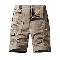 Shorts for Mens Summer Fall Cargo Straight Leg Pants Shorts Mens 2024 Fashion Y2K