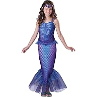In Character Costumes, Mysterious Mermaid Costume,