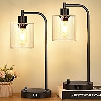 Set of 2 Industrial Table Lamps with 2 USB Port, Fully Stepless Dimmable Lamps for bedrooms, Bedside Nightstand Desk Lamps with Seeded Glass Shade for Reading Living Room Office 2 LED Bulb Included