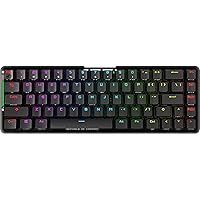 ASUS ROG Falchion NX 65% Wireless RGB Gaming Mechanical Keyboard | ROG NX Blue Clicky Switches, PBT Doubleshot Keycaps, Wired / 2.4G Hz, Touch Panel, Keyboard Cover Case, Macro Support,Black/ Gray