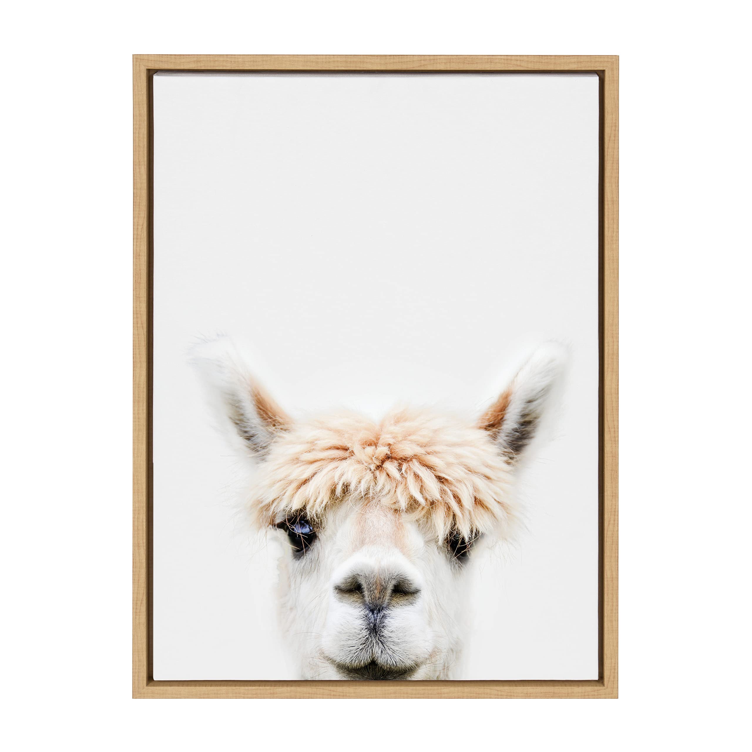 Kate and Laurel Sylvie Alpaca Bangs Framed Canvas Wall Art by Amy Peterson Art Studio, 18x24 Natural, Decorative Adorable Animal Art for Wall
