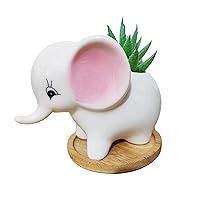 Cute Cartoon Animal Elephant Shaped Ceramic Succulent Cactus Vase Flower Plant Pots with Bamboo Tray for Home Garden Office Desktop Decoration - Plant Not Included(1,Small)
