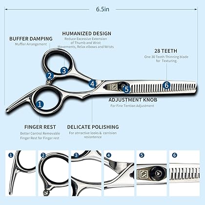 Hair Scissors Professional/Thinning Shears for Precision Haircutting - 6.5 Inch Razor Edge Barber Scissors with Fine Adjustment Tension Screw - Salon and Home Use for Women, Men, and Kids. (Silver)