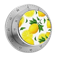 Kitchen Timer Lemon Fruit Timer Magnetic Timer Mechanical Timer for Home Baking Cooking Oven