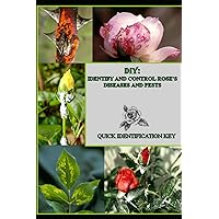 DIY : IDENTIFY AND CONTROL ROSE'S DISEASES AND PESTS: Quick Identification Key