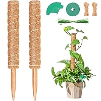 Moss Pole for Plants, 2 Pack Moss Poles for Climbing Plants, Monstera Coir Totem Pole, 15.8 Inch Moss Sticks for Plant Support, Indoor Potted Plants Train Creeper Plants Grow Upwards